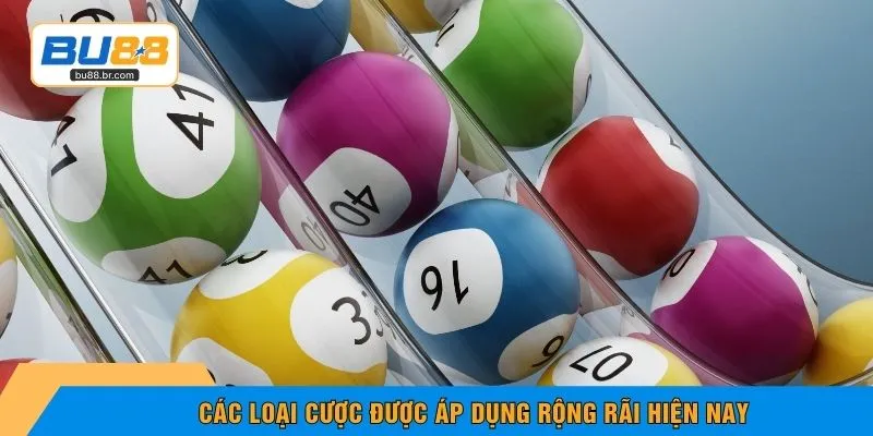 Các loại cược được áp dụng rộng rãi hiện nay
