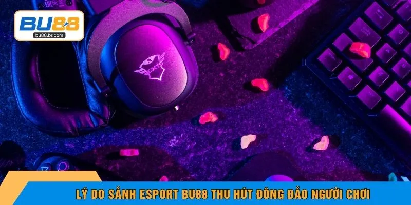 Lý do sảnh Esport BU88 thu hút đông đảo người chơi