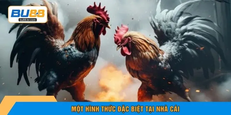 Một hình thức đặc biệt tại nhà cái