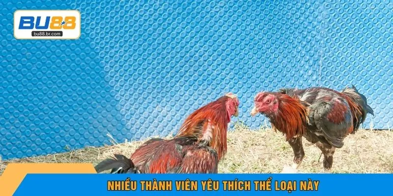 Nhiều thành viên yêu thích thể loại này