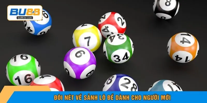 Đôi nét về sảnh lô đề dành cho người mới