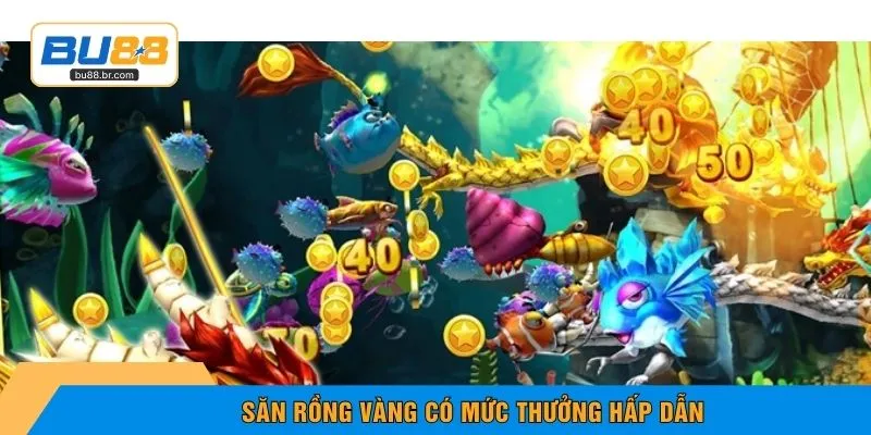 Săn rồng vàng có mức thưởng hấp dẫn